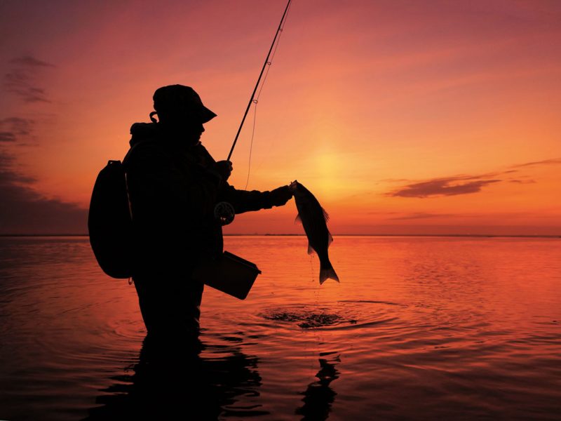 Picture of a man holding a fish with a beautiful sunset